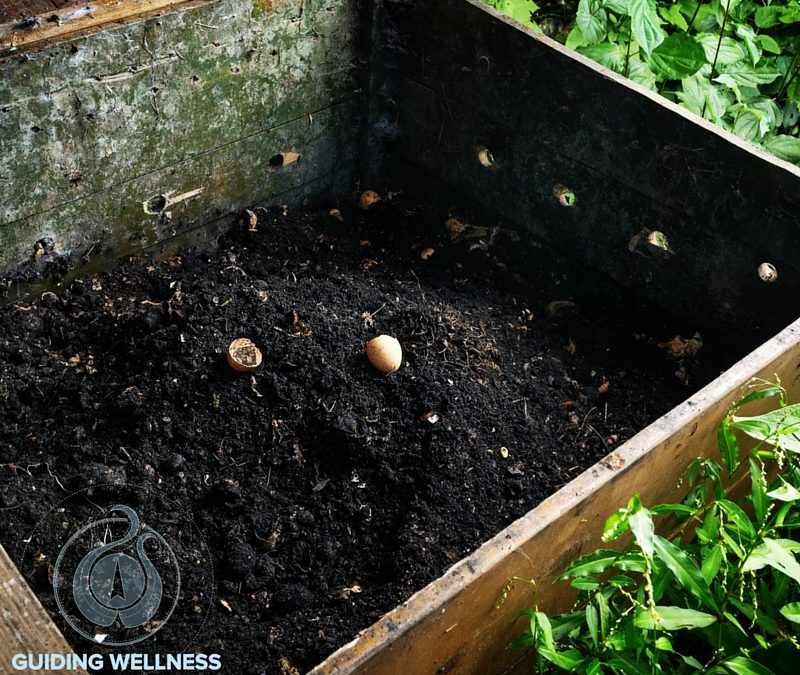 Healthy Families Summer Series – Composting Made Easy