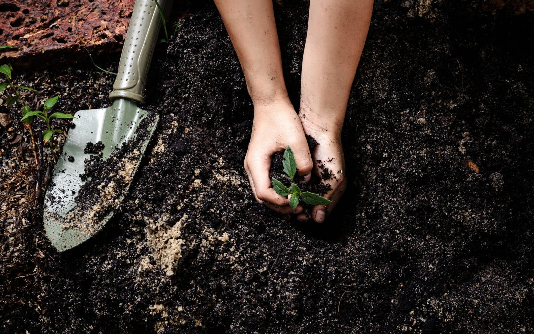 Healthy Families Summer Series – Plant Your Own Seedling Pot